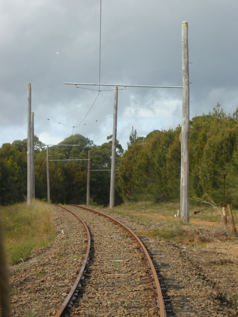 135329: Sydney Tram Museum Loftus Mid Point National Park Line looking towards The Royal National Park