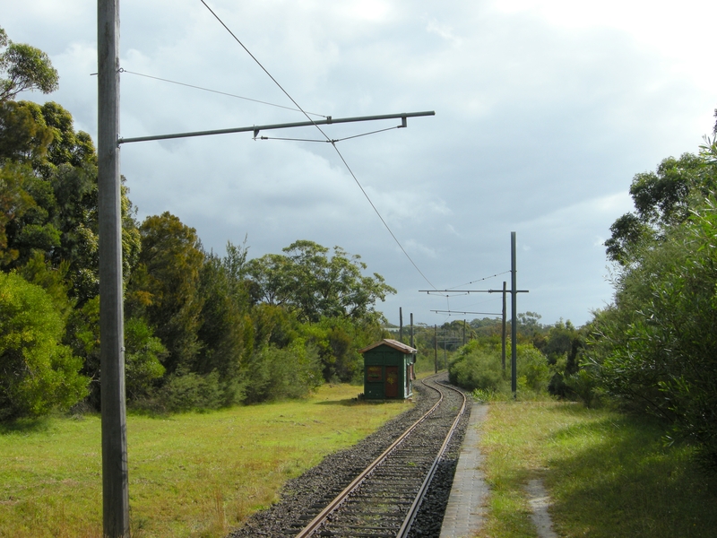 135332: Sydney Tram Museum The Royal National Park looking towards  Loftus