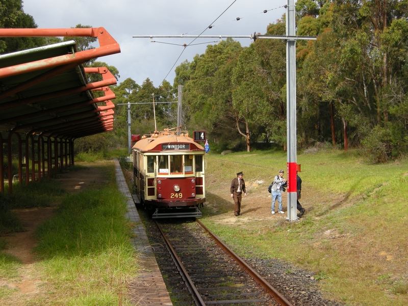 135333: Sydney Tram Museum The Royal National Park W2 249