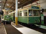 135370: Hawthorn Tramway Museum Y1 613