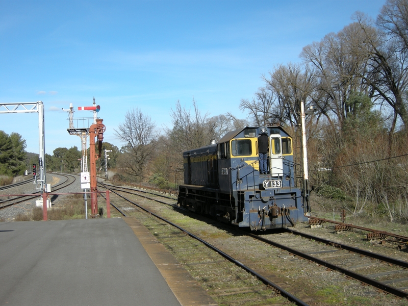 135430: Castlemaine Up Light Engine Y 133