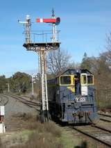 135431: Castlemaine Y 133 backing down for Down Passenger to Maldon