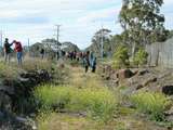 135472: South Morang (2), Was RMSP 39 looking towards future end of track