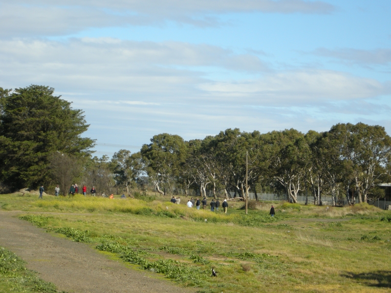 135474: South Morang (1), looking towards platform and Epping