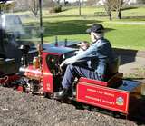 135510: Traralgon Gippsland Model Engineering Society  Passenger Second Locomotive No 2 'Joybee' 0-4-2