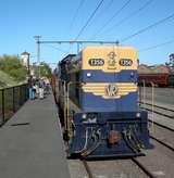 135546: Newport Workshops Garden Platform 8542 Up Steamrail Special T 356 leading