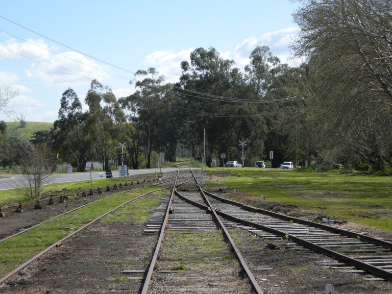 135595: Healesville East end of Yard looking towards Lilydale