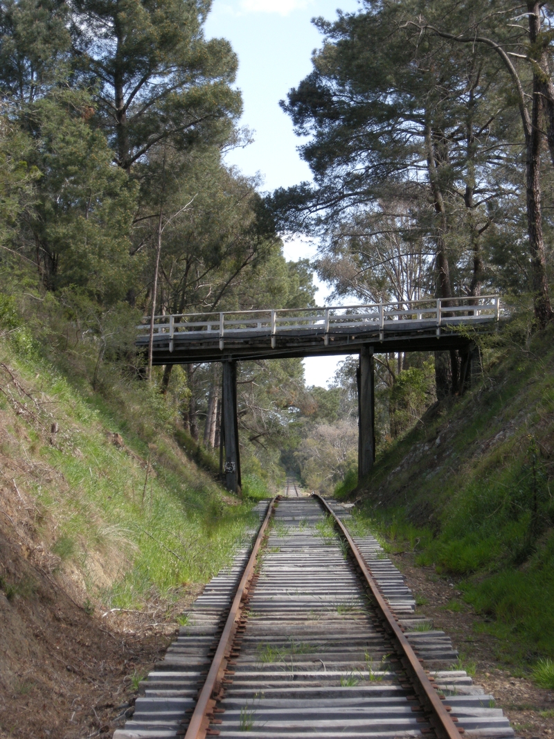 135598: Donovans Road Overbridge looking West