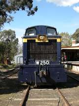 135609: Healesville Demonstration Down Goods W 250 s