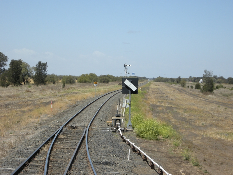 135679: Gurley looking towards Sydney