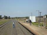 135681: Gurley looking towards Sydney