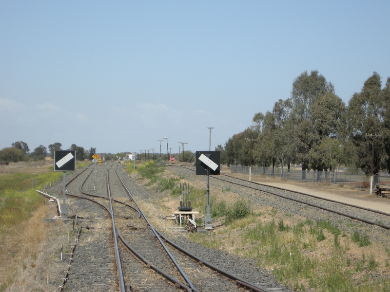 135682: Gurley looking towards Sydney