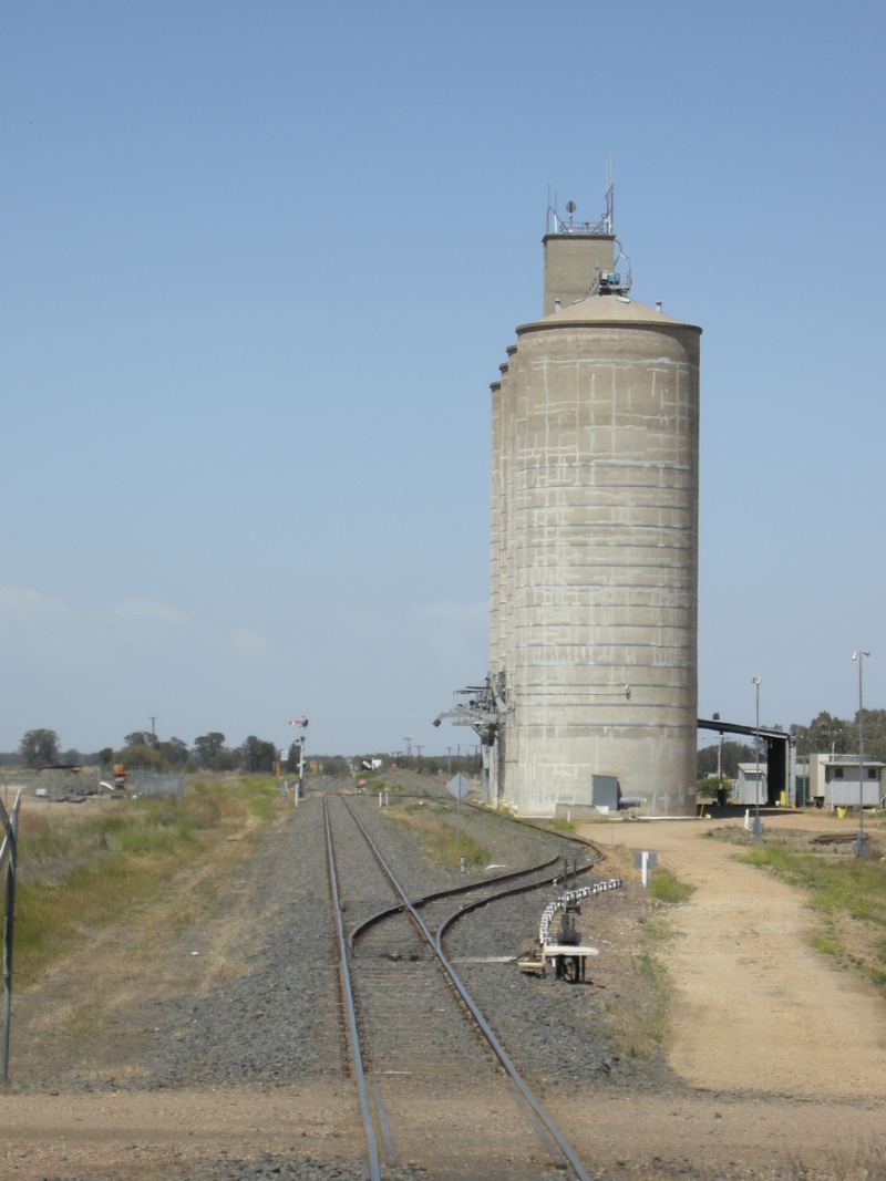 135684: Gurley looking towards Sydney