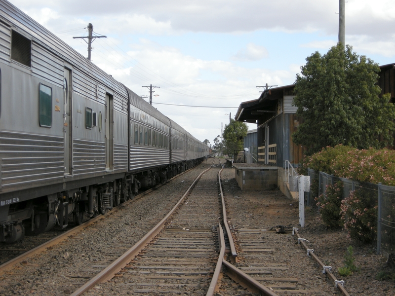 135690: Moree Up RTM Special