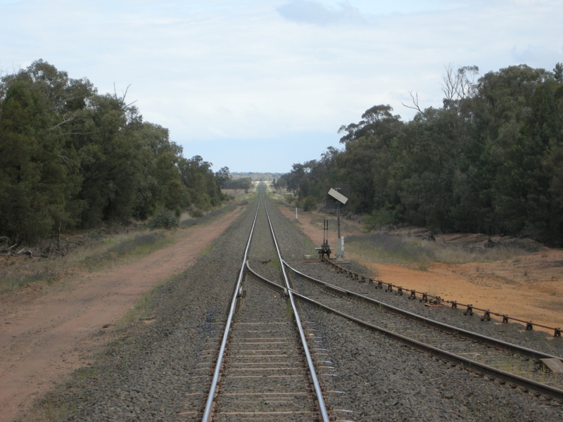 135704: AWB Siding South end looking towards Sydney