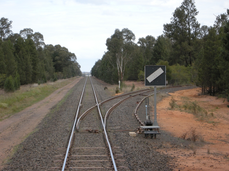 135705: AWB Siding North end looking towards Sydney