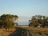 135727: Coonamble Line km 572 looking towards Sydney