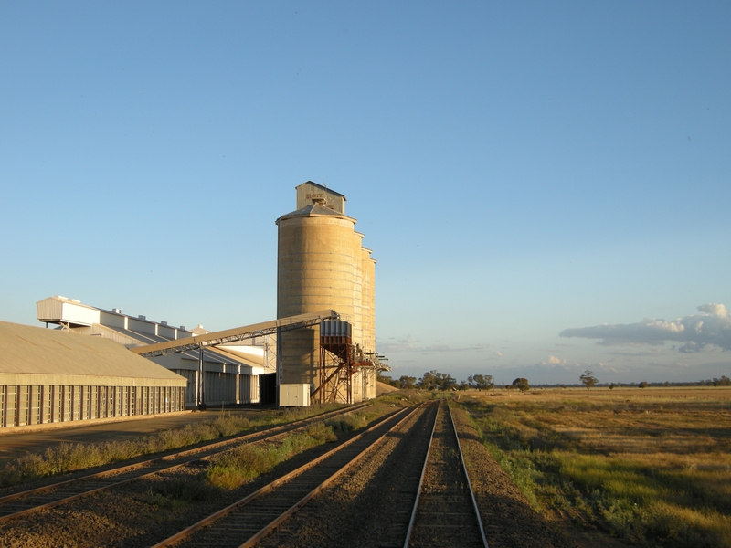 135730: Gular looking towards Sydney