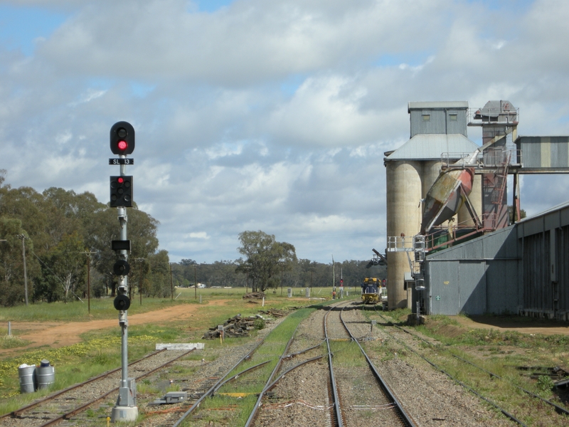 135752: Stockinbingal looking towards Griffith and Forbes