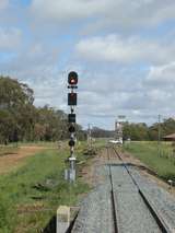 135754: Stockinbingal looking towards Griffith and Forbes