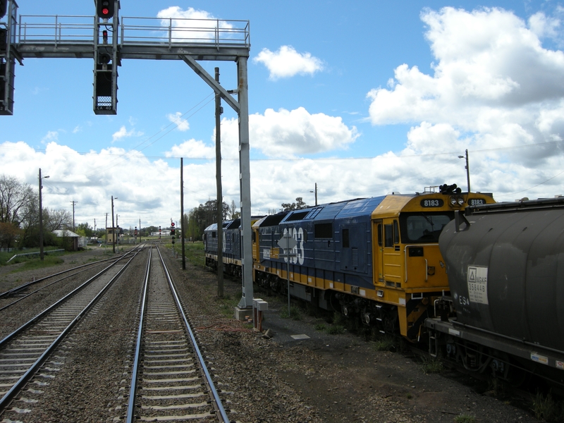 135762: Cootamundra Up Goods 8130 8183