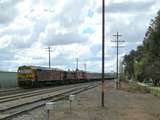 135784: Junee Shunting RTM Cars 44211 4803 4916