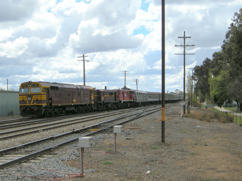 135785: Junee Shunting RTM Cars 44211 4803 4916