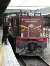 135790: Sydney Central Engines off RTM Special 4803 nearest