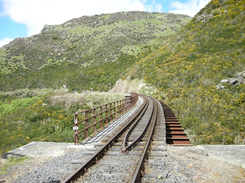 135843: Deep Stream Bridge No 14 31 1 km looking towards Wingatui