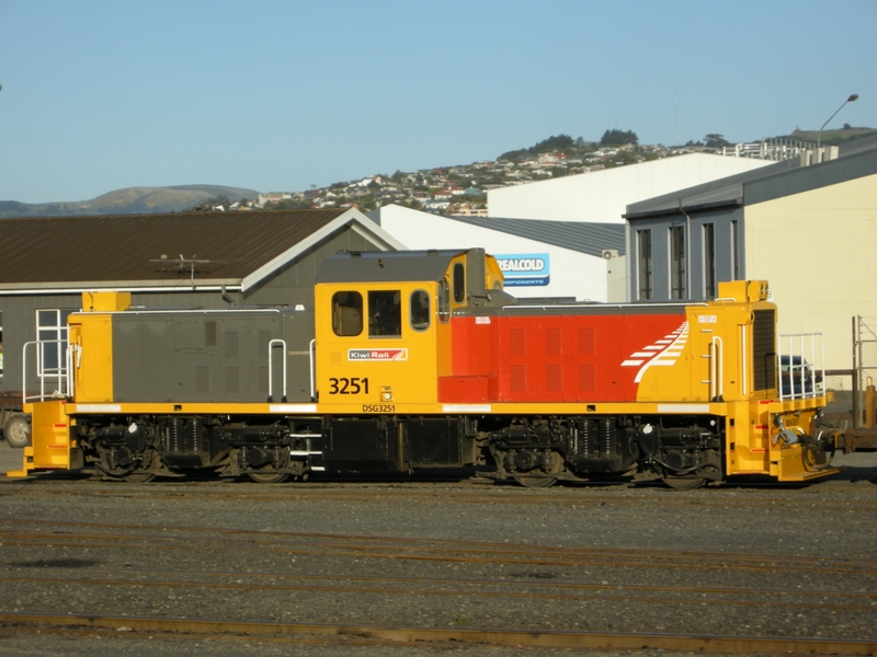 135934: Dunedin DSG 3251