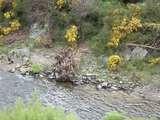 136019: km 30 Otago Central Railway abandoned 4-wheel wagon in river bed