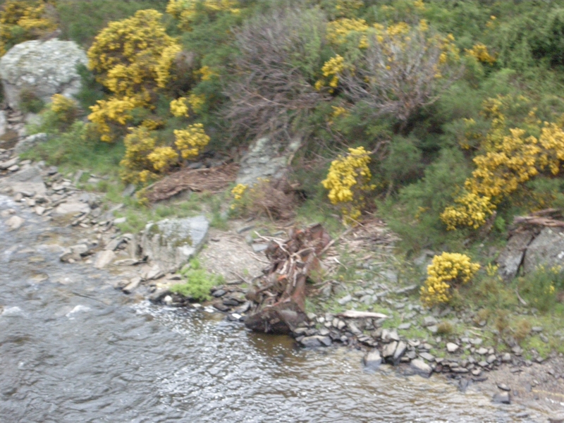 136020: km 30 Otago Central Railway abandoned 4-wheel wagon in river bed