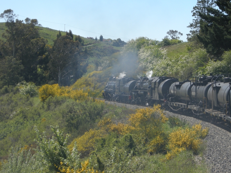 136035: km 256+ South Island Main trunk Railway Up Main Line Steam Trust Special Ab 663 Jb 1236