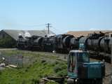 136036: km 255 South Island Main Trunk Railway Up Main Line Steam trust Special Ab 663 Jb 1236