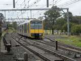 136127: Penrith Down Suburban 8-car Tangara