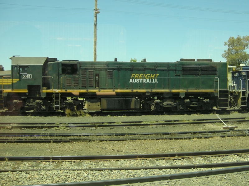 136215: Cootamundra X 45