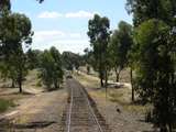 136340: Muckleford Creek Bridge looking towards Maldon