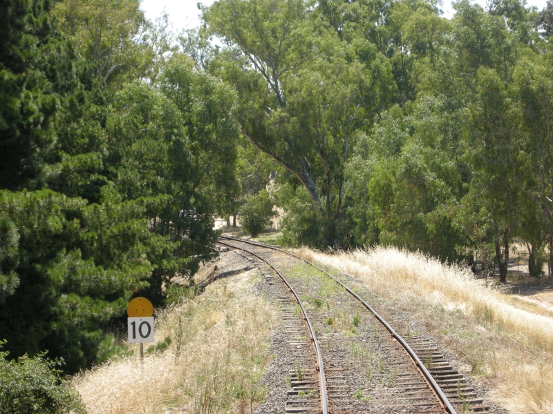 136345: Muckleford Creek Bridge looking towards Maldon