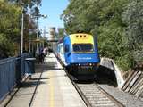 136413: Wangaratta Day XPT from Sydney XP 2010 leading