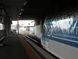 136457: Southern Cross Day XPT to Sydney XP 2016 leading