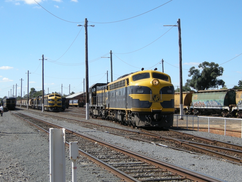 136493: Maryborough B 74 T 378 off SRHC Special and Up El Zorro Grain Train S 303 T 341 T 357 T 413