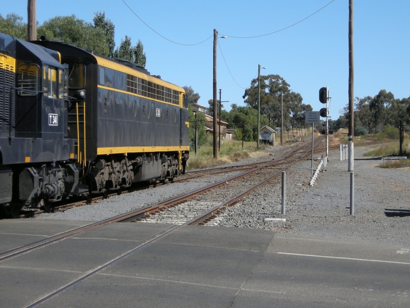 136500: Maryborough shunting Up El Zorro Grain Train S 303 T 341 T 357 T 413