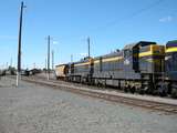 136502: Maryborough shunting Up El Zorro Grain Train S 303 T 341 T 357 T 413