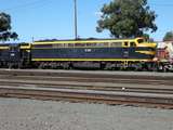 136505: Maryborough shunting Up El Zorro Grain Train S 303 T 341 T 357 T 413
