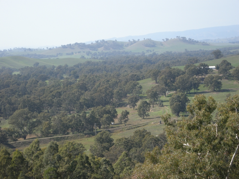 136544: Kerrisdale (down side), VR Formation viewed from Kerrisdale Mounain Railway