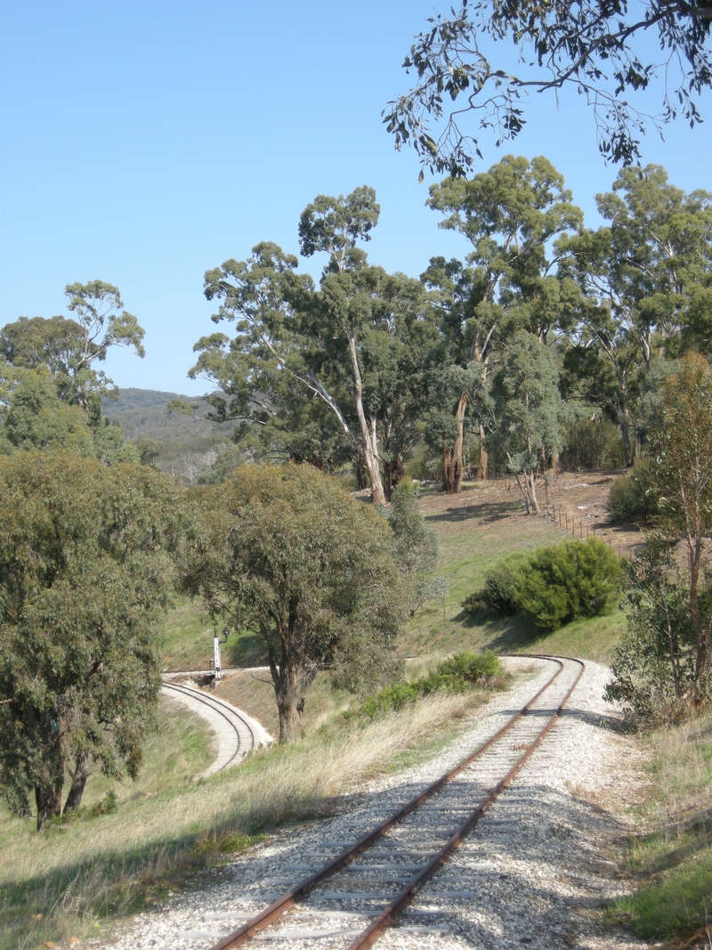 136548: Kerrisdale Mountain Railway Top Points viewed from ascending train