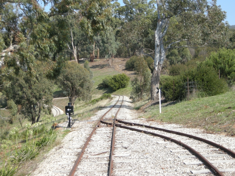 136549: Kerrisdale Kerrisdale Mountain Railway Summit Loop looking downhill