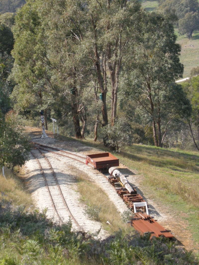 136551: Kerrisdale Mountain Railway Strath View Siding viewed from Upper Leg