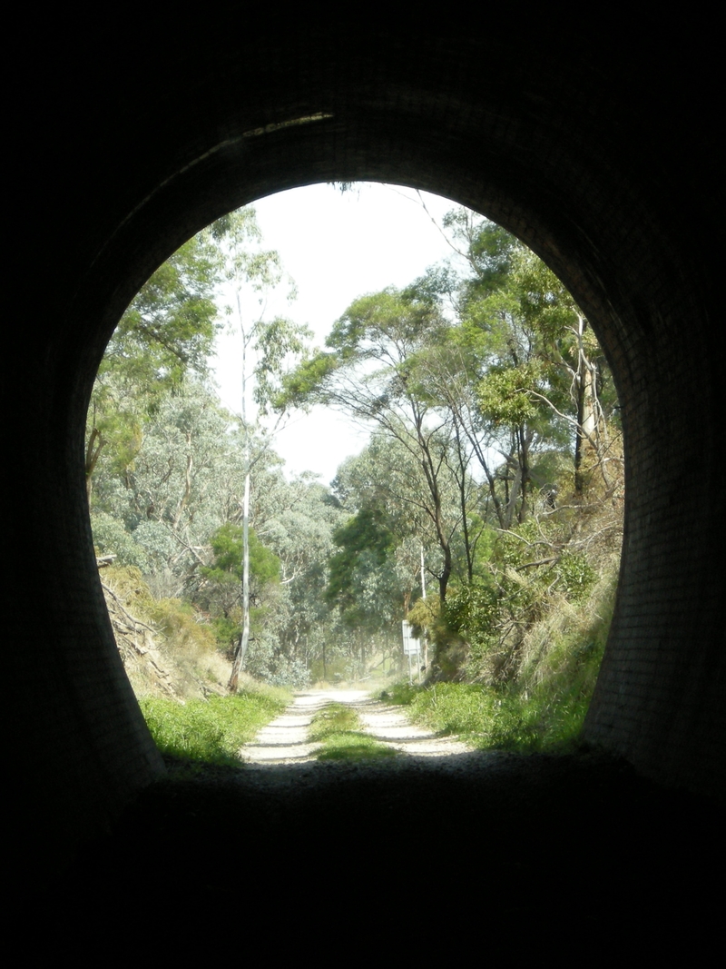 136557: Cheviot Tunnel Up Portal looking towards Yea