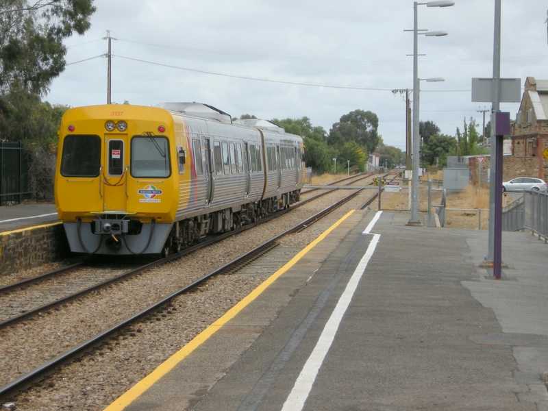 136593: Bowden Suburban to Grange 3138 3137